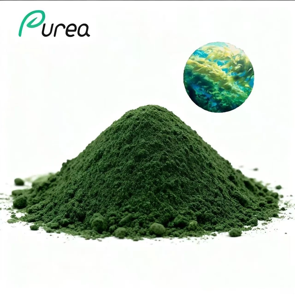 Serbuk Ekstrak Chlorella Organik