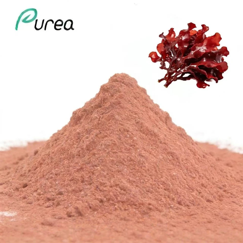 Serbuk Ekstrak Alga Merah